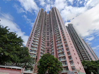 Shek Lei (I) Estate Building