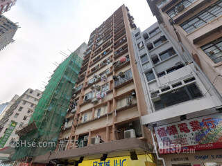 丽都楼 大厦