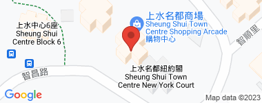 Sheungshui Town Center Berlin Court (Block 1) Flat B, High Floor Address