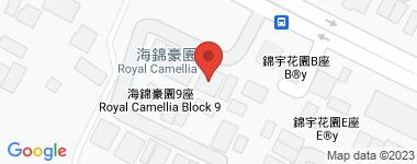 Royal Camellia No. 9 Fairview Garden Avenue (detached house) Address
