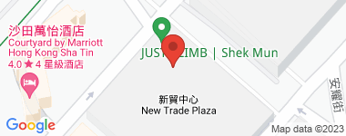 New Trade Plaza  Address