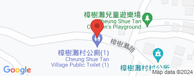 Cheung Shue Tan 217, High Floor Address