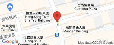金马伦道8A  物业地址
