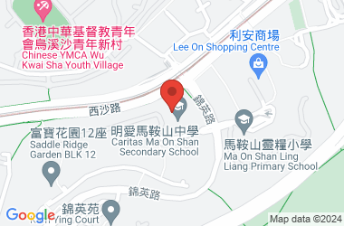 明爱马鞍山中学