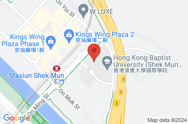 Hong Kong Baptist University Affiliated School Wong Kam Fai Secondary And Primary School