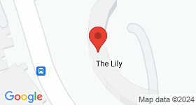 The Lily Map