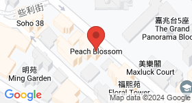 Peach Blossom 地图