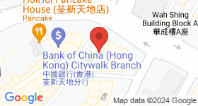 Vision City Map