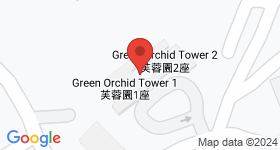 Green Orchid Map