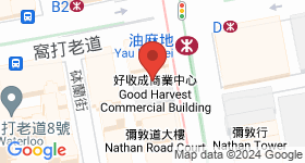 弥敦道519号 地图