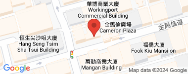 金马伦道17号 17室 中层 物业地址