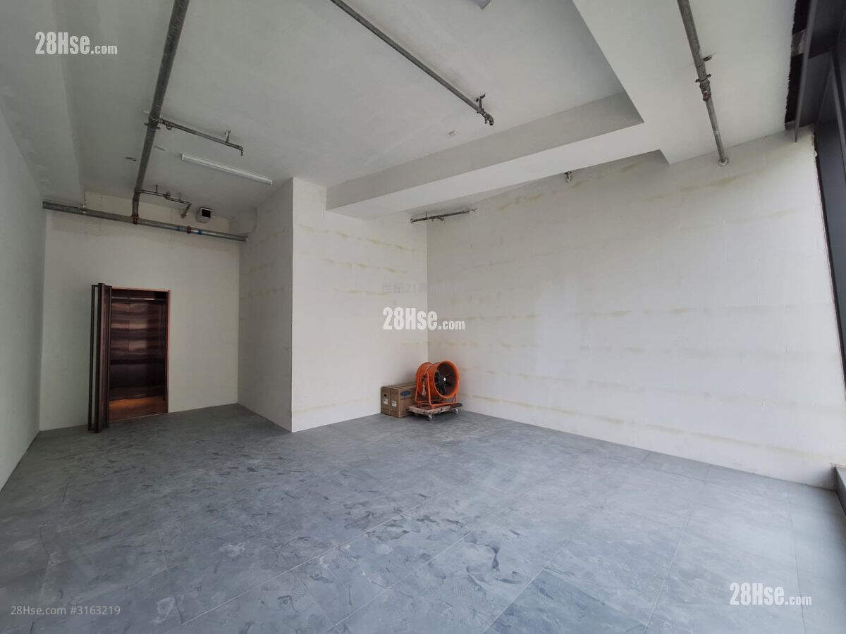 21 Ashley Rental