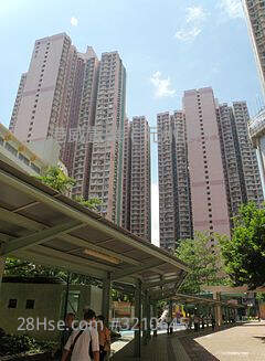 Lai Yan Court Sell 2 Bedrooms , 1 Bathroom 539 ft² ( 50.1 m² )