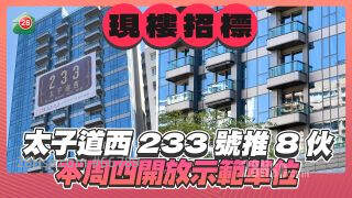 太子道西233号推8伙现楼招标 本周四开放示范单位