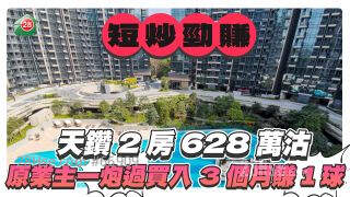 大埔天钻短炒劲赚 原业主3个月内赚100万