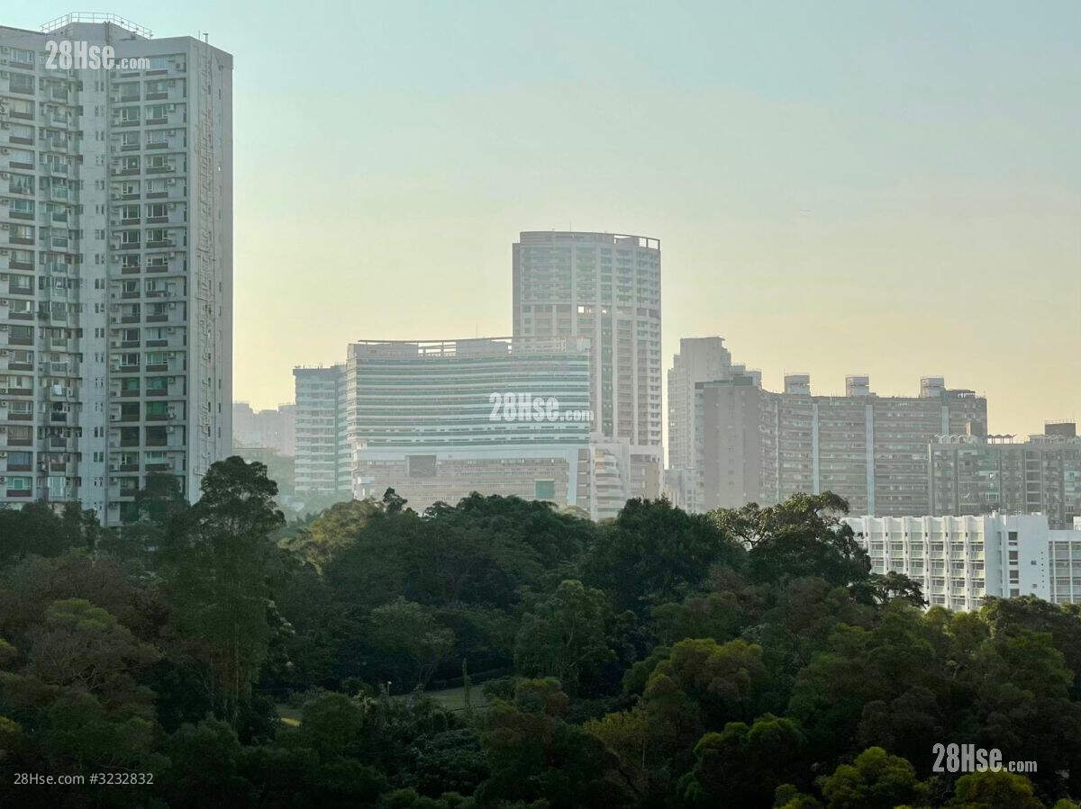 高層山海景