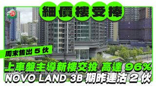 细价楼主导新楼交投高达96% NOVO LAND 3B期昨连沽2伙