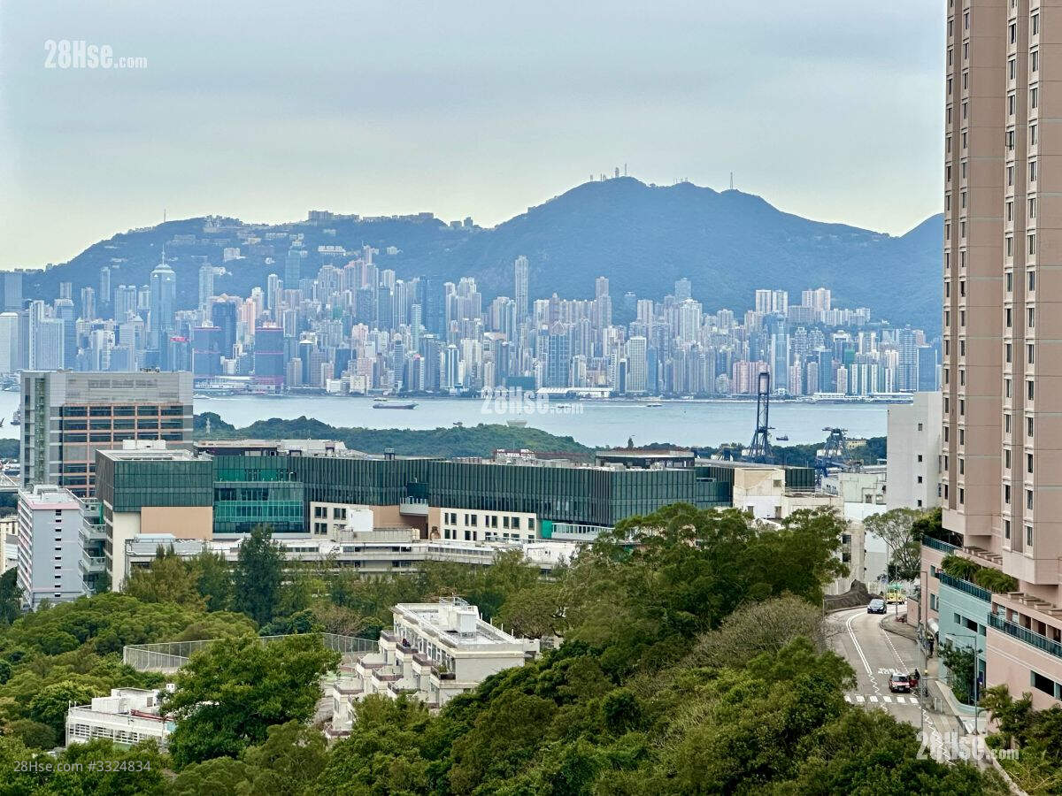 露台外望維港海景