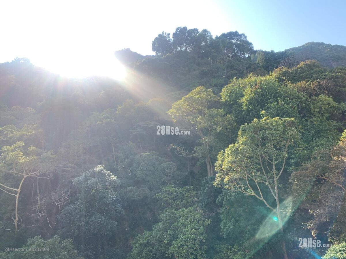 Tai Hing House Rental Studio , 1 Bathroom 267 ft² ( 24.8 m² )