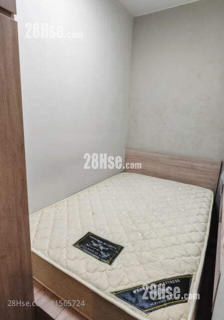 Lily Mansion Rental