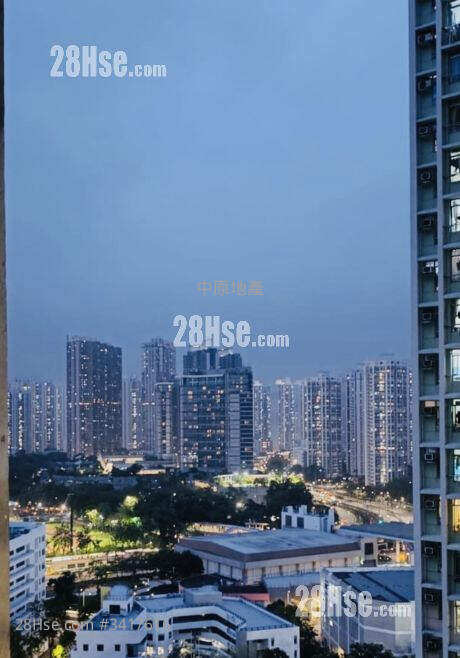 天丽苑 售盘 1 房 212 平方尺 ( 19.7 平方米 )