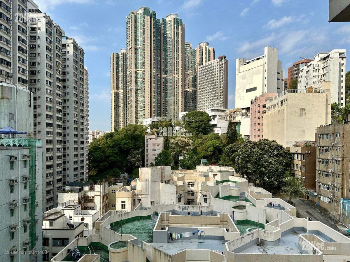 開揚景觀