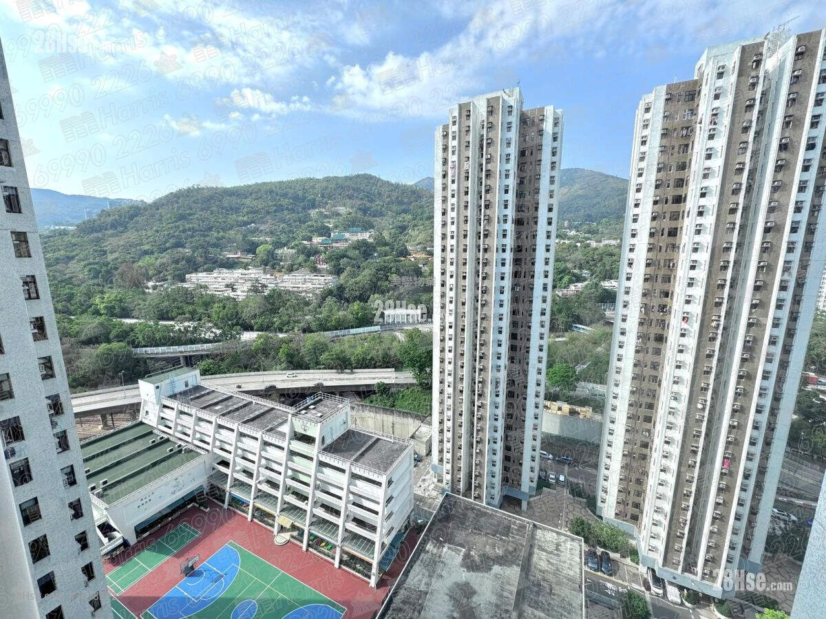 绿杨新邨 售盘 2 房 445 平方尺 ( 41.3 平方米 )