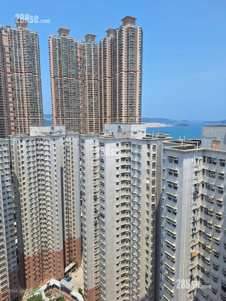 富欣花园 售盘 592 平方尺 ( 55.0 平方米 )