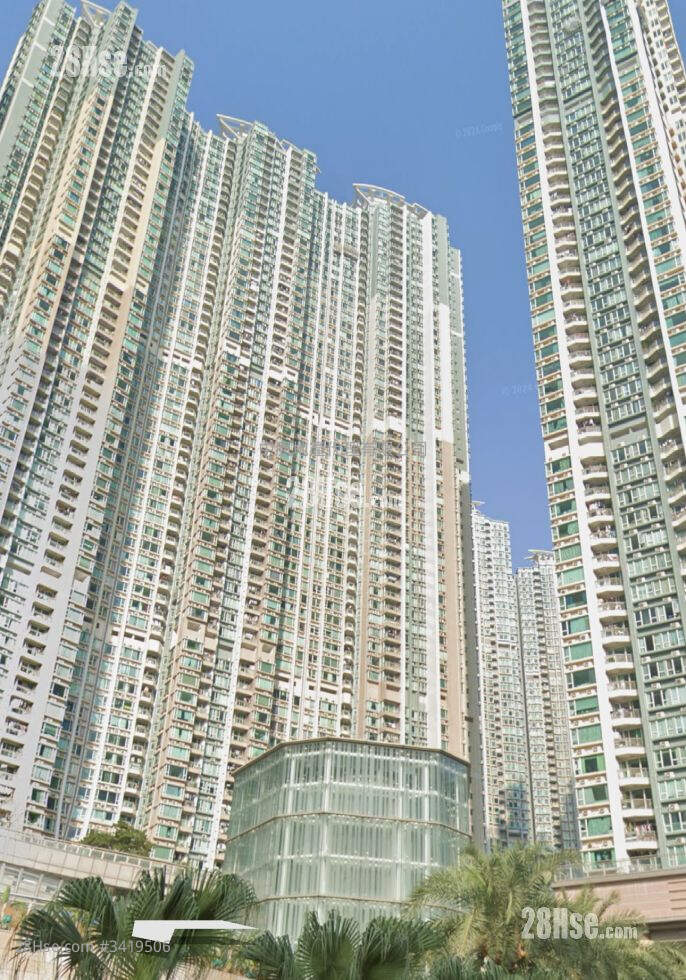 领都 租盘
