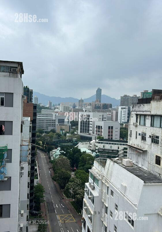 Pine Tree Building Rental 1 Bedroom , 1 Bathroom 170 ft² ( 15.8 m² )