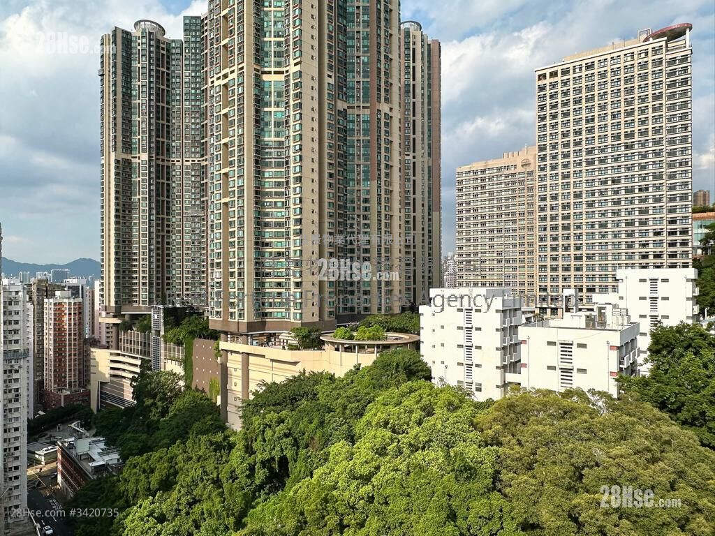 再辉大厦 租盘 2 房 , 1 浴室 422 平方尺 ( 39.2 平方米 )