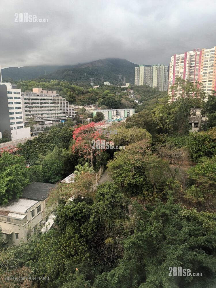 Hutchison Estate Sell 3 Bedrooms , 1 Bathroom 535 ft² ( 49.7 m² )