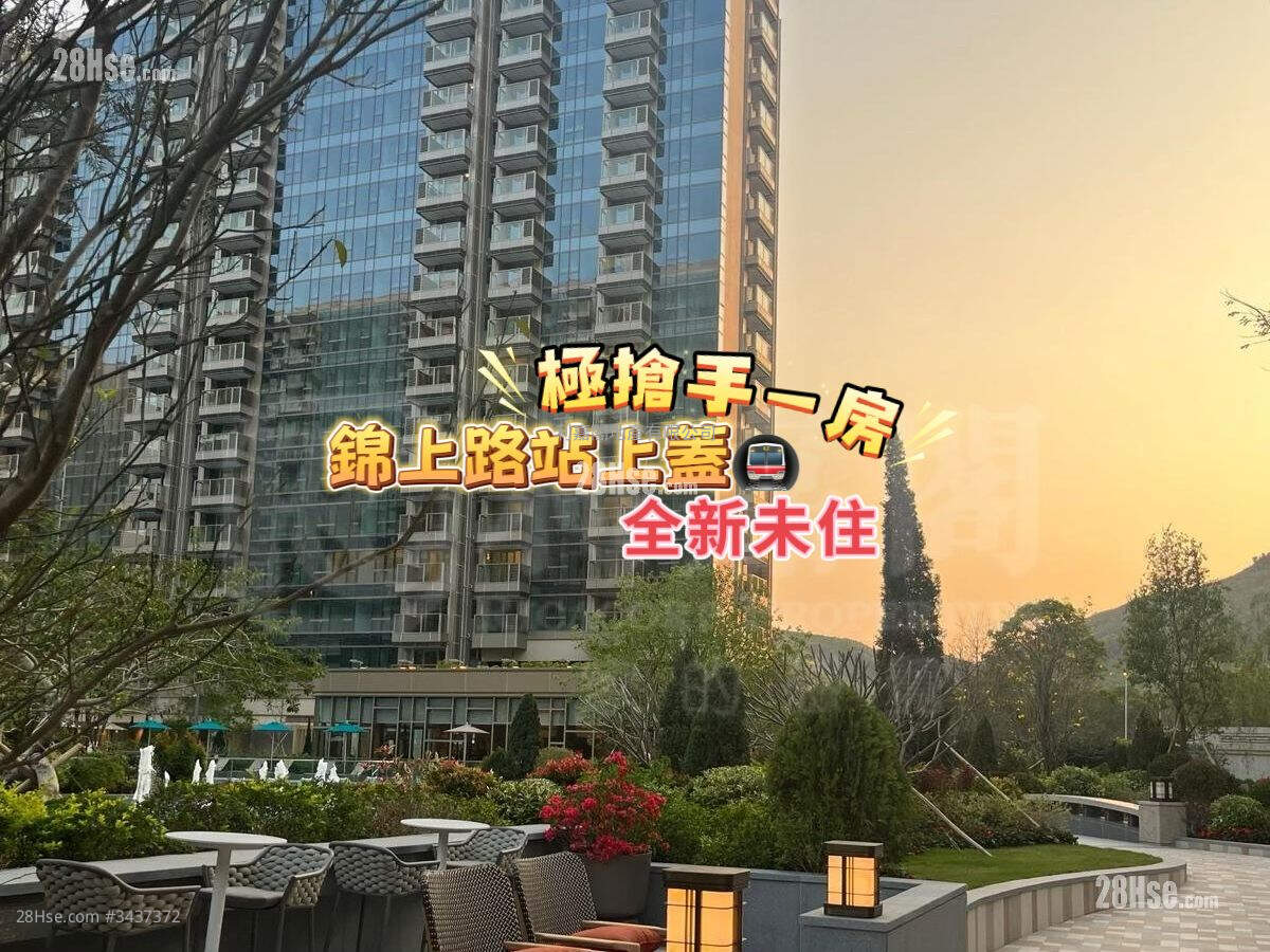 柏珑 租盘 1 房 , 1 浴室 339 平方尺 ( 31.5 平方米 )