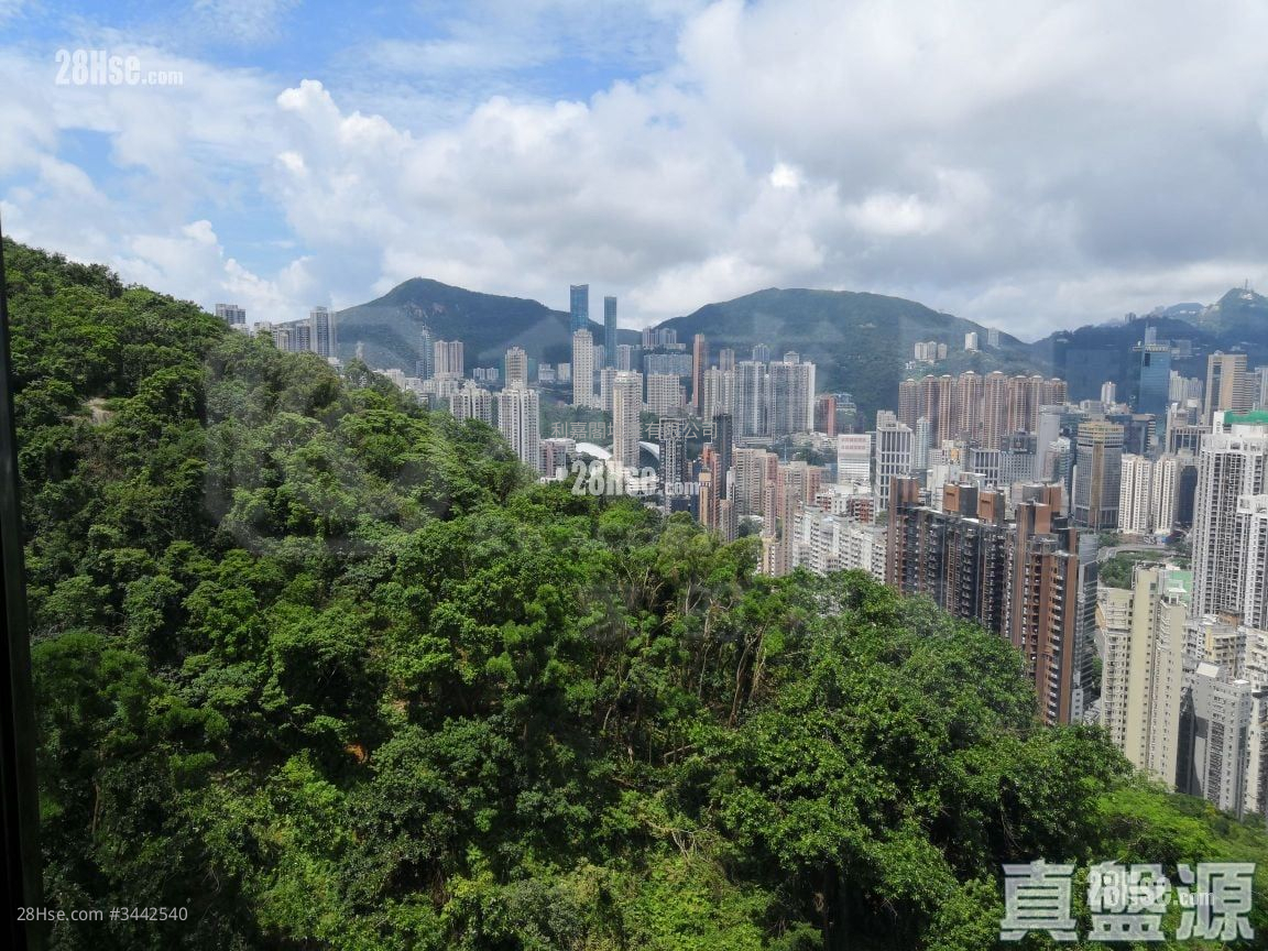 云景台 售盘 3 房 1,063 平方尺 ( 98.8 平方米 )