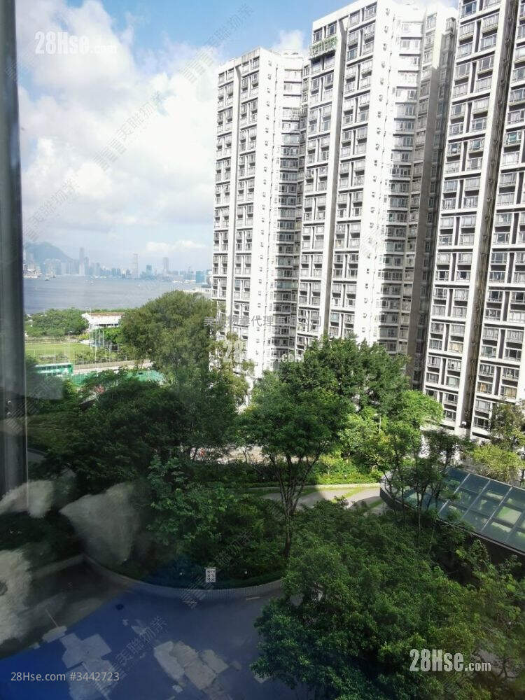 丽港城 售盘 3 房 748 平方尺 ( 69.5 平方米 )