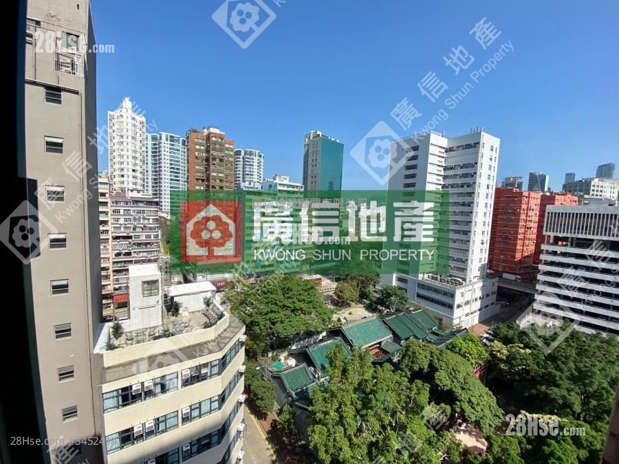 Kamly Court Sell Studio , 1 Bathroom 313 ft² ( 29.1 m² )