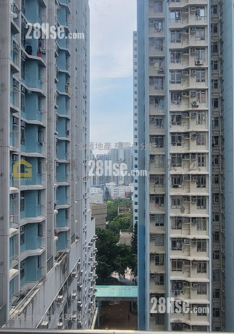 永发大厦 售盘 1 房 , 1 浴室 267 平方尺 ( 24.8 平方米 )
