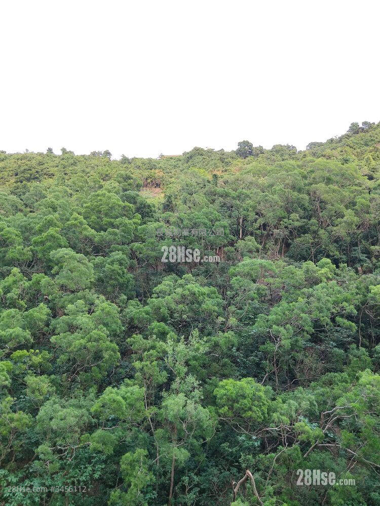 Fullview Garden Sell 3 Bedrooms 592 ft² ( 55.0 m² )