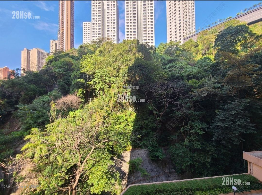 San Francisco Towers Sell 3 Bedrooms , 2 Bathrooms 910 ft² ( 84.5 m² )