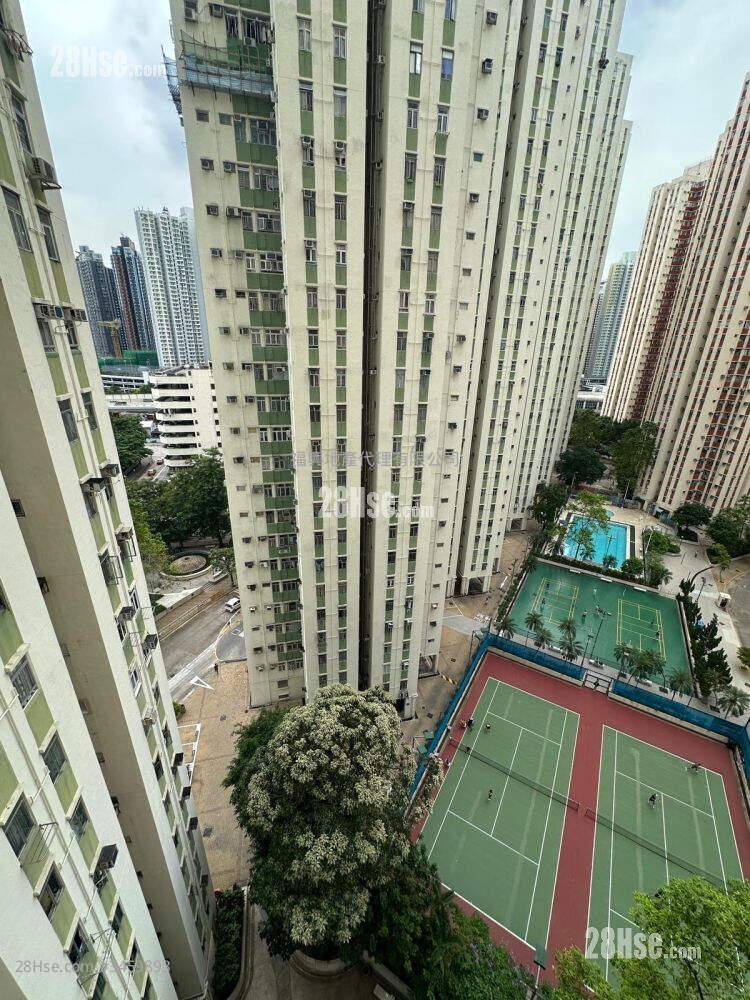 Richland Gardens Sell 407 ft² ( 37.8 m² )