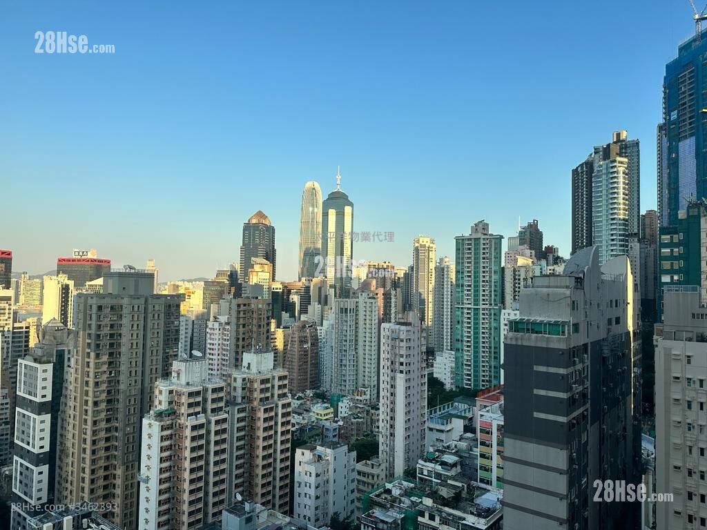 丽怡大厦 租盘 1 房 , 1 浴室 498 平方尺 ( 46.3 平方米 )