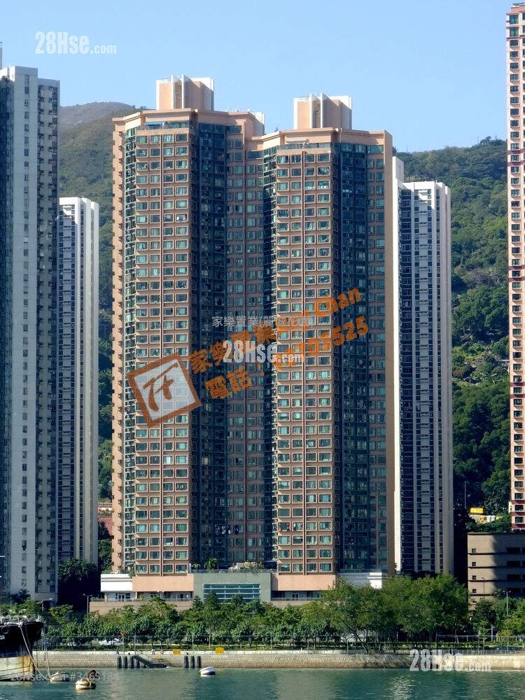 Serenade Cove Rental 2 Bedrooms , 1 Bathroom 445 ft² ( 41.3 m² )