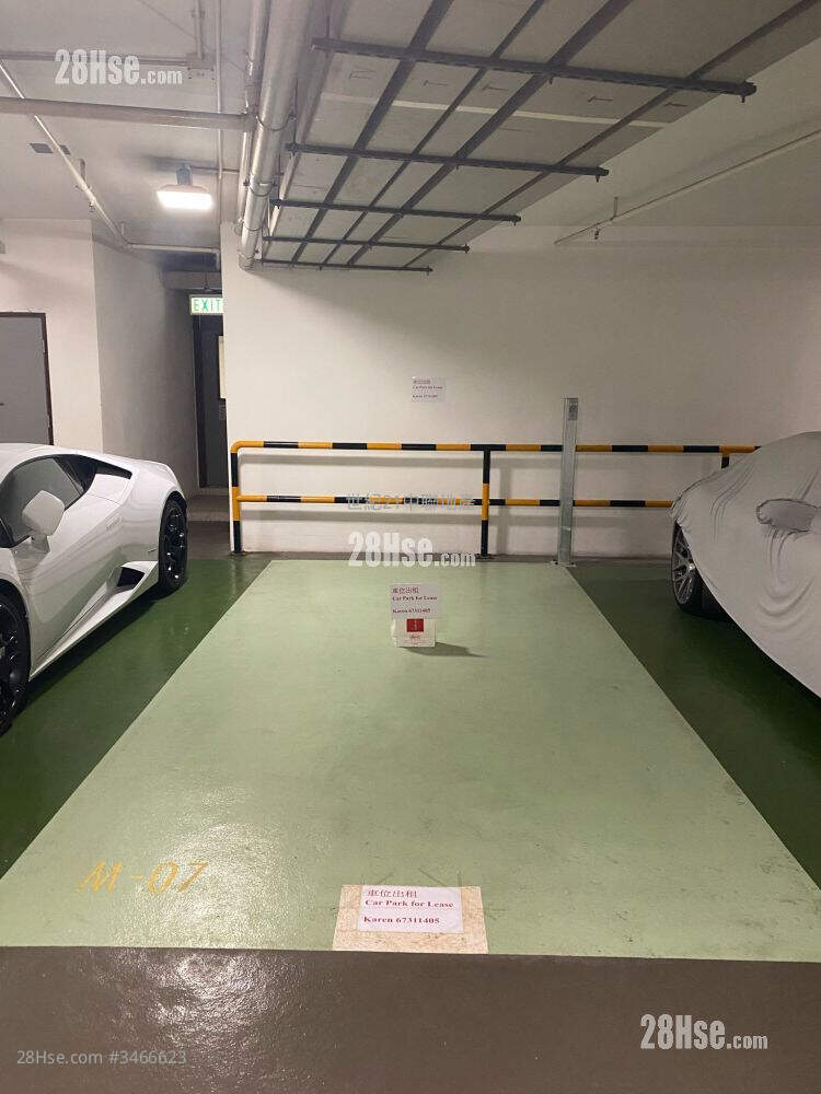 君临天下 租盘
