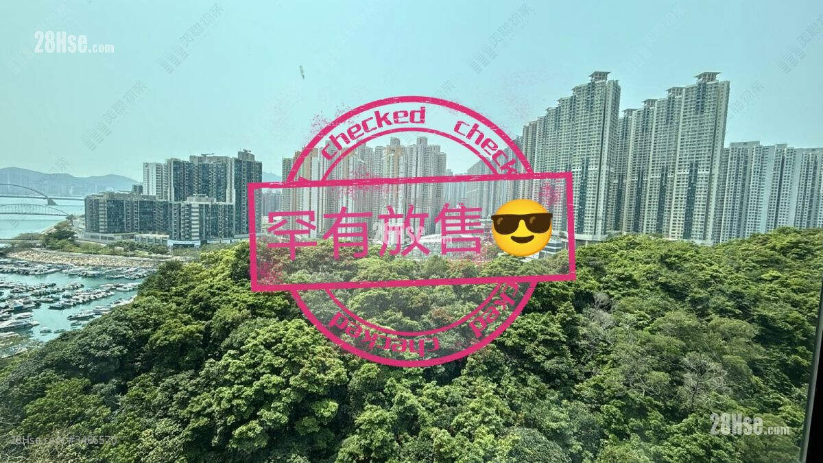 清水湾半岛 售盘 4 房 1,038 平方尺 ( 96.4 平方米 )