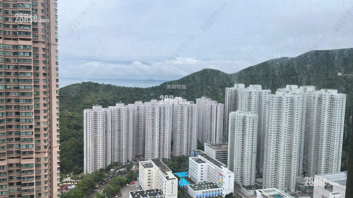 蓝湾半岛 租盘 2 房 , 1 浴室 455 平方尺 ( 42.3 平方米 )