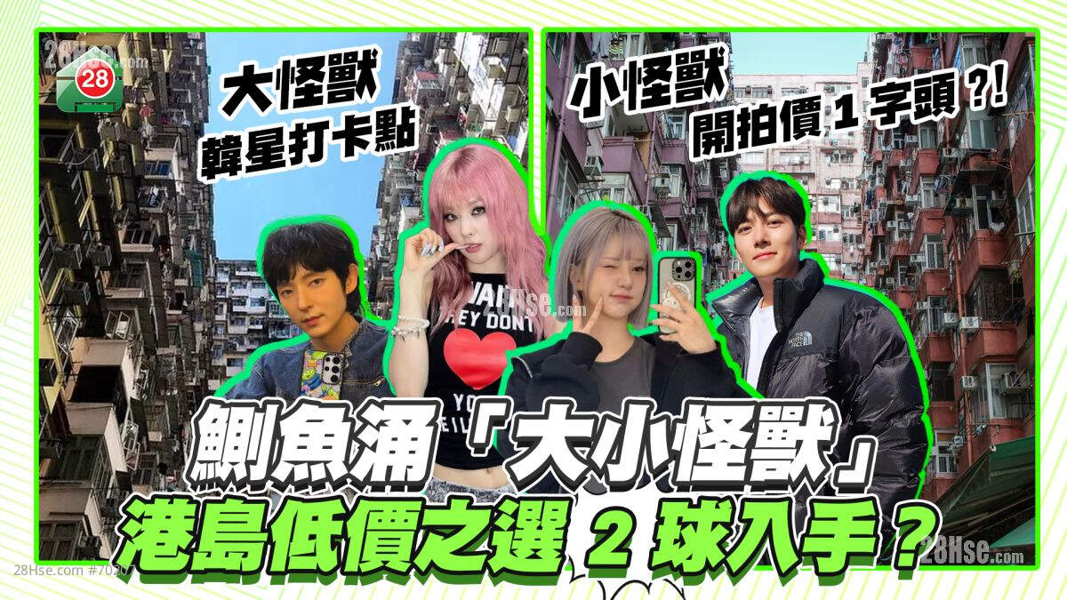 2球入手？｜鰂鱼涌「大小怪兽」港岛低价之选 「大怪兽」成韩星访港打卡热点！「小怪兽」开拍价1字头？