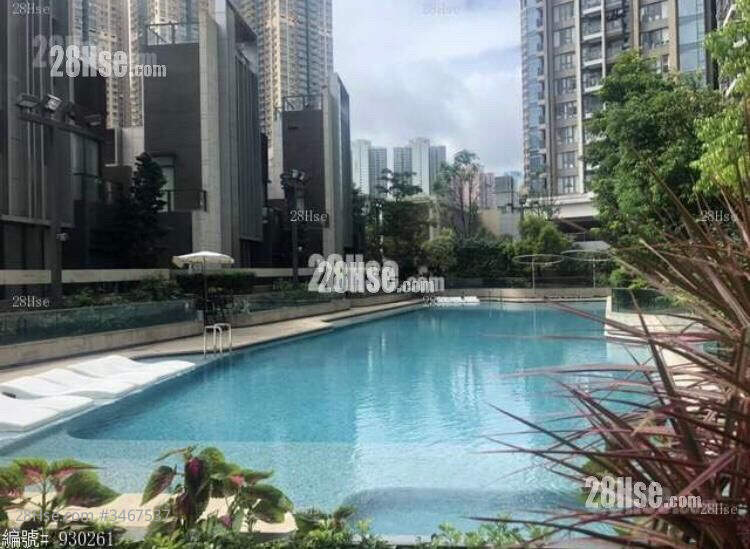 會所泳池