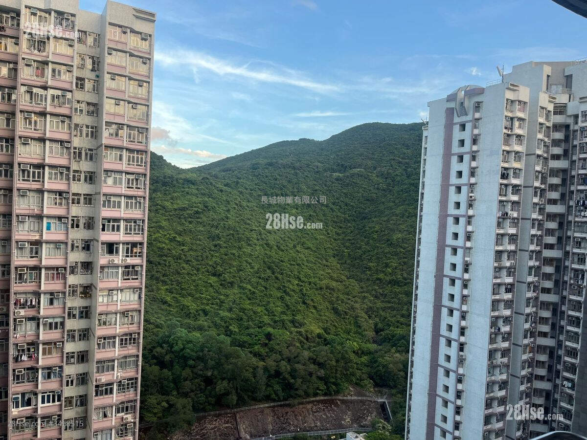 佳翠苑 售盘 538 平方尺 ( 50.0 平方米 )