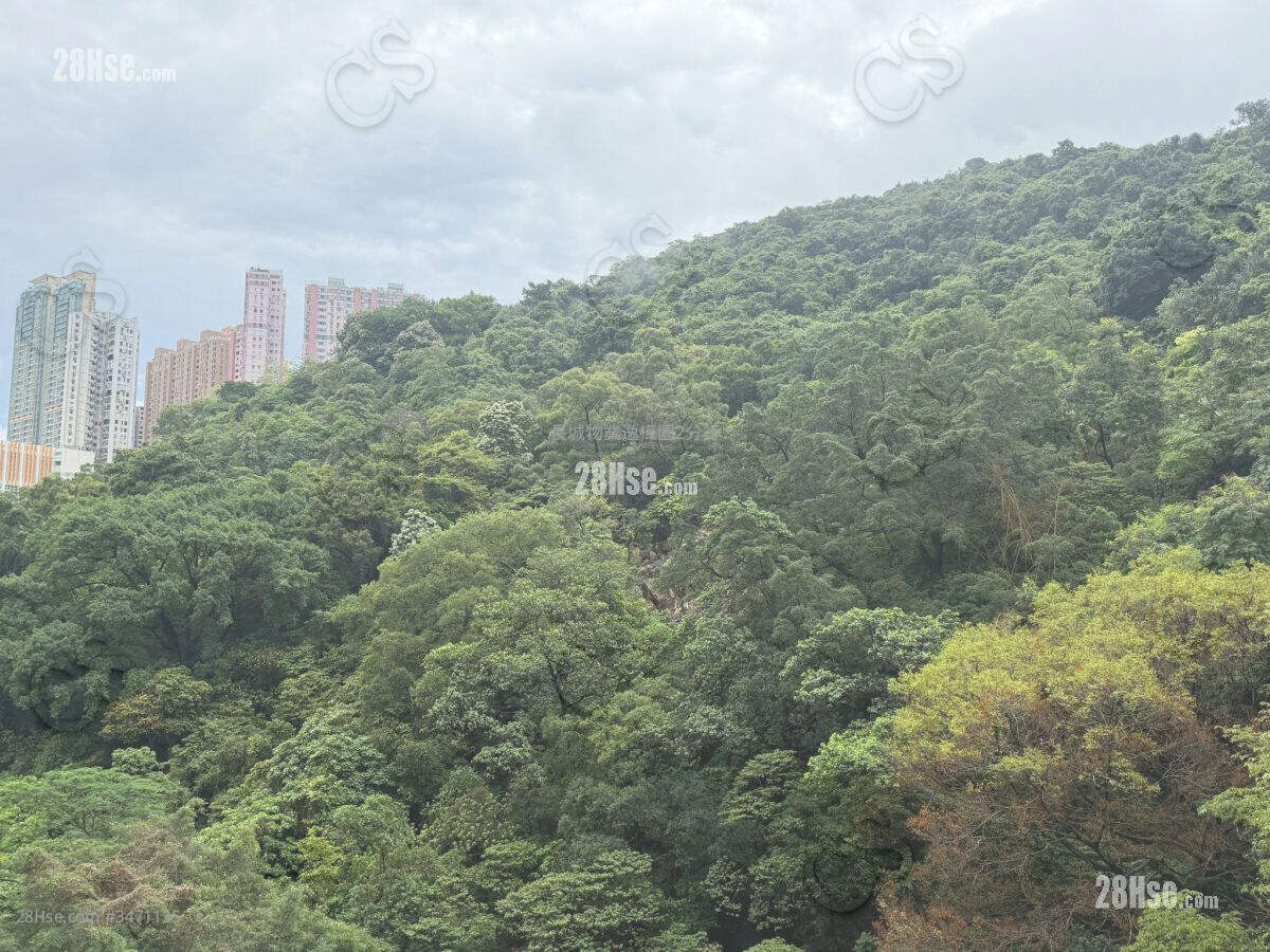 The Pavilia Hill Rental 716 ft² ( 66.5 m² )