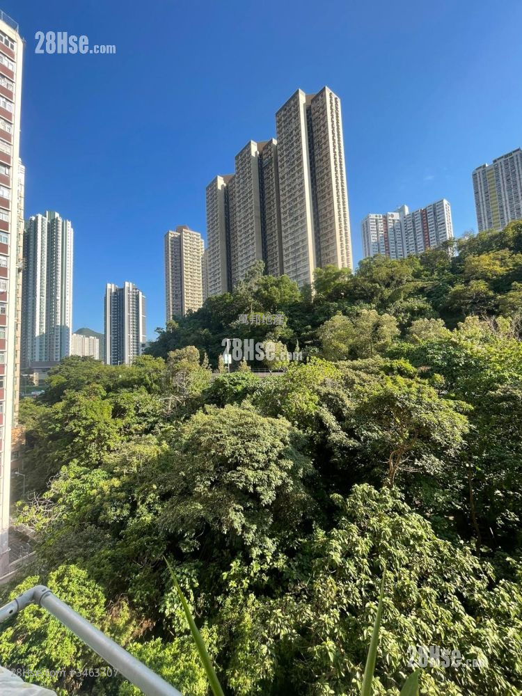 Sunny Court Sell 2 Bedrooms , 1 Bathroom 340 ft² ( 31.6 m² )
